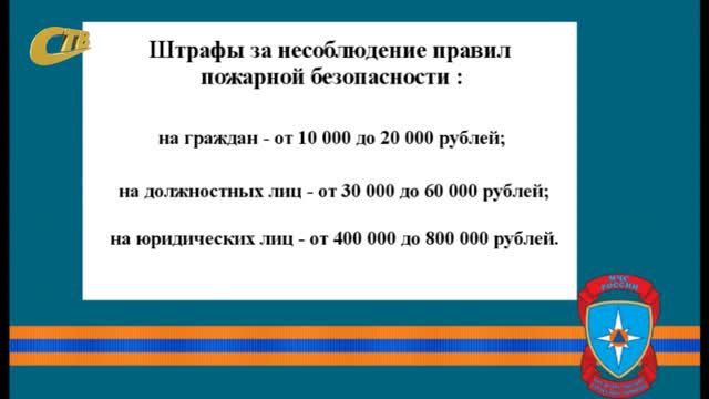 В Курской области стартует акция «Сохраним лес» в 2026 году