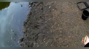 Вьюн на удочку. Автандиловна и вьюны :)