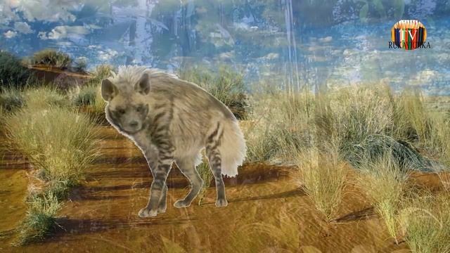 ЯК РОЗМОВЛЯЮТЬ ТВАРИНИ АФРИКИ