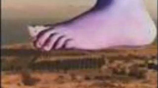 Eric Idle Sings Monty Python--Part 6 смотреть онлайн