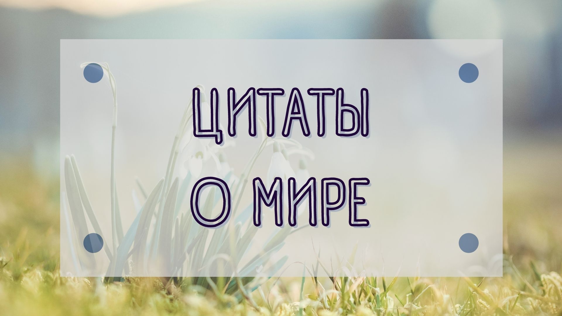 ЦИТАТЫ О МИРЕ