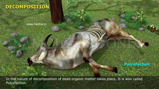 DECOMPOSITION _ PART 01 смотреть онлайн