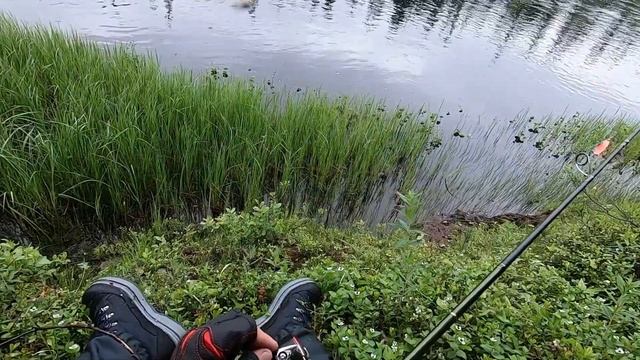 Там где на камнях растут деревья. Сплав по реке Варзуга июнь 2021, северная Карелия. смотреть онлайн