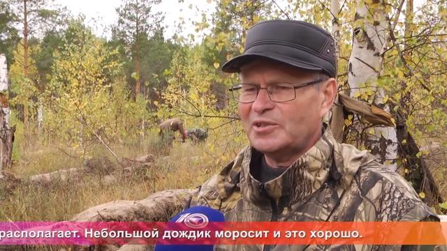 Од пинге. Акция "Подари лес другу" смотреть онлайн