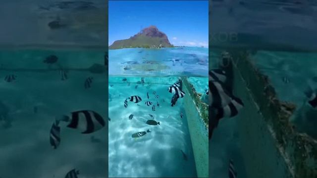 Маврикий. Mauritius. 毛里求斯。 смотреть онлайн