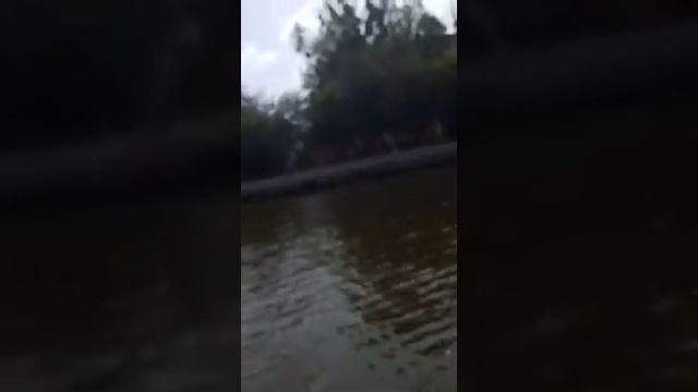 экскурсия по реке преголя на катере рюген смотреть онлайн