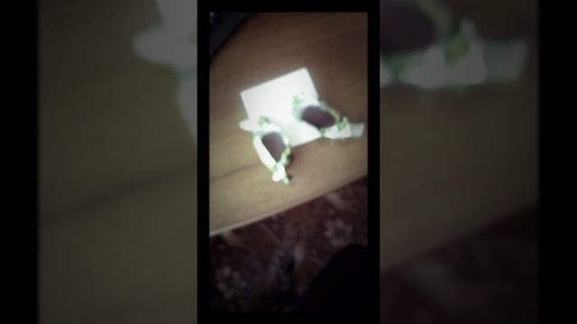 Как вызвать сладкоежку?♡♡♡♡♡♡ смотреть онлайн