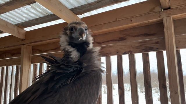 Теперь и вы знаете что мы сделали прошлым летом. смотреть онлайн