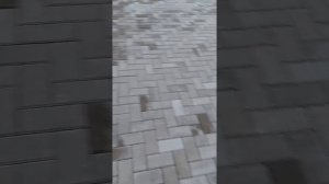 Укладка тротуарной плитки кирпичик Ёлочка