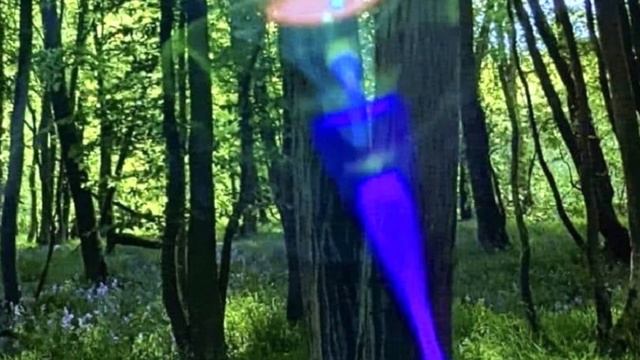 Духовный лоцман. Практика, как вы можете использовать свою шестую чакру в повседневной жизни. смотреть онлайн