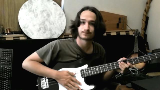 $73 Goplus Bass Review смотреть онлайн