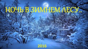 Ночевка в зимнем лесу 2016