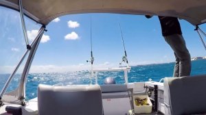 Рыбалка. Будни рыбака в Тихом океане. (видео 178)