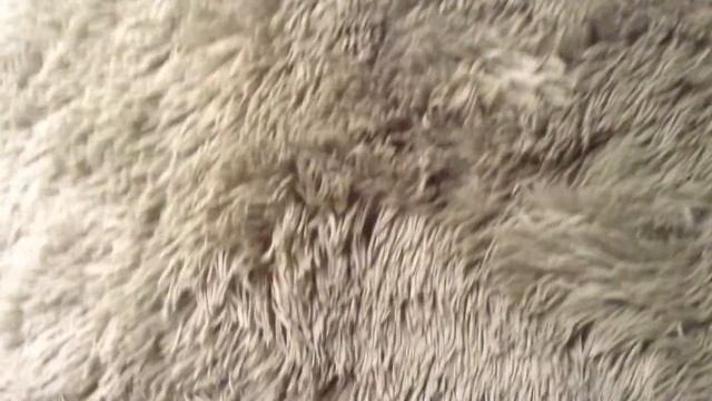 Чудесная игла миниатюрка 