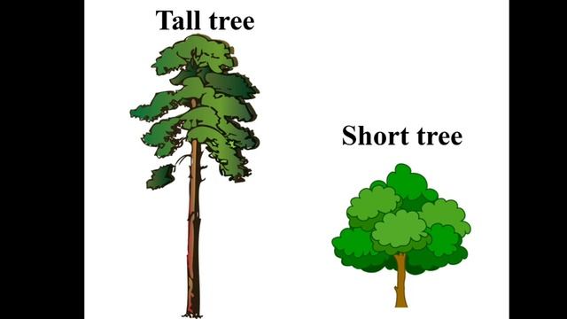 Describing things. Повторение. Урок для 1 классов смотреть онлайн