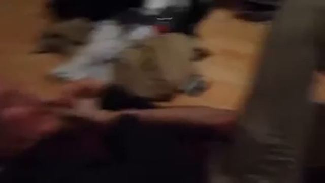 Scissoring смотреть онлайн