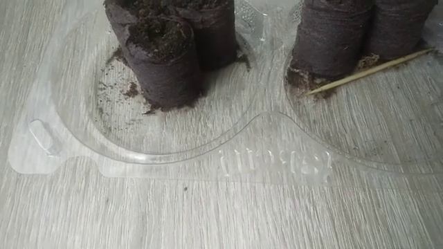 Мой цветок эустома Розовая дымка смотреть онлайн