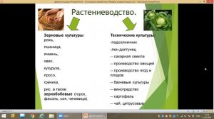 Сельское хозяйство России  Растениеводство и животноводство