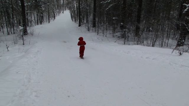 самокат на лыжах stiga смотреть онлайн