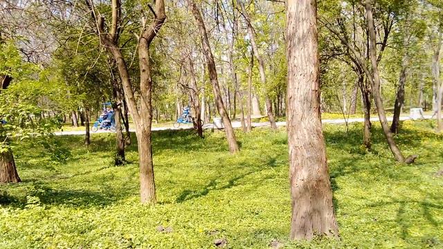 Для тех, кто хочет жить у море, в Болгарии. смотреть онлайн