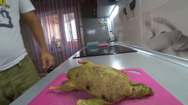 Разделка добычи,КАК РАЗДЕЛАТЬ ДИКУЮ УТКУ