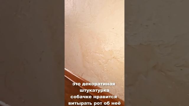 Эрсаг. Как удалить и вывести пятна, очистить что угодно. Удаляю пятна со стен смотреть онлайн