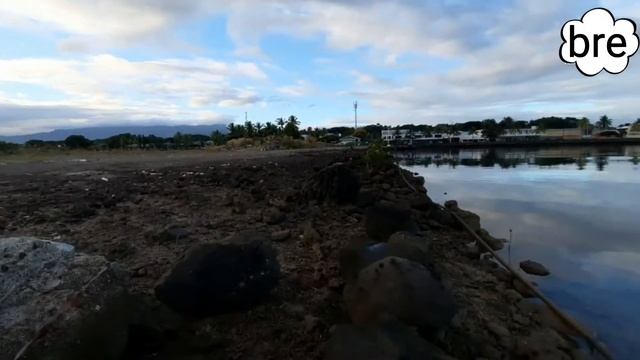 Quick look at fiji marine area at lautoka смотреть онлайн