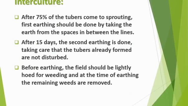 How to produce Potato (Solanum tuberosum)in brief смотреть онлайн