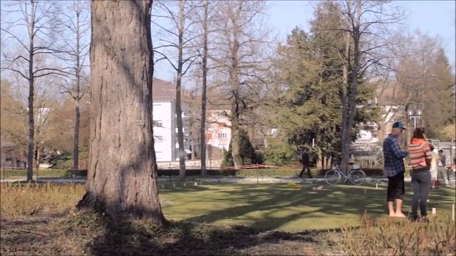 Швейцарское гражданство. Часть 1. 5 подводных камней смотреть онлайн