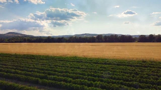 Глубина смотреть онлайн