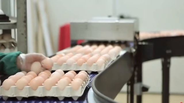 Упаковка укладка работа в Польше безвиз/сезонное приглашение/ виза