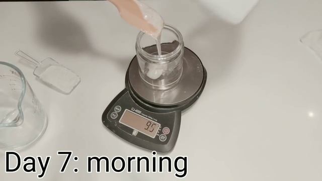 How To Make A Sourdough Starter From Scratch