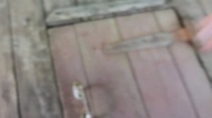 Мотоленд Форестер 200. Сгонял в Маклок на черепашье озеро.