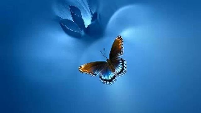 Бабочка. на стихи Юнны Мориц смотреть онлайн