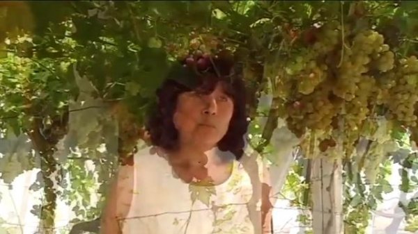 Rost® концентрат Секреты применения Серия 4