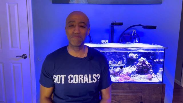 Cobalt Aquatics C-Vue 40 Episode 7 смотреть онлайн