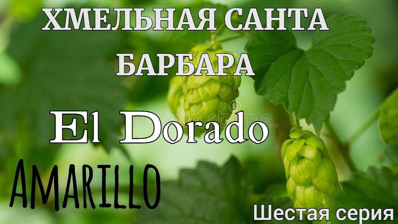 Хмельная Санта Барбара!Amarillo и El Dorado! смотреть онлайн