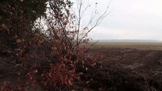 VLOG Я возмущена . Меняем семечки на масло смотреть онлайн