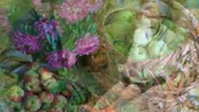 "Я ДЕРЕВЕНСКАЯ".. (Фото Валерия Токаева (Котельнич) - Поёт нар. арт. России Надежда Крыгина) смотреть онлайн