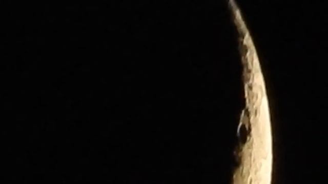 Фото охота с помощью фотоаппарата Nikon Coolpix P610 (4)