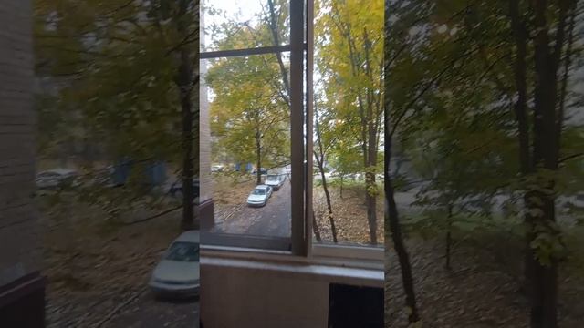 СДАЕТСЯ 1к КВ. 6-я Парковая 6. 5 мин от метро смотреть онлайн