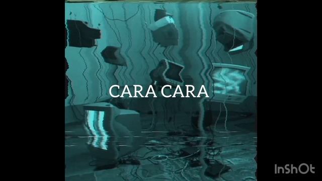 FIFI - CARA CARA ( Interludio ) | CANAL 13 смотреть онлайн