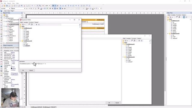 How to use Conditional Highlighting and Sums with FastReport смотреть онлайн