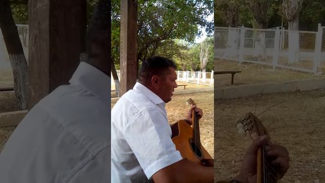 Главные песни о старом...музыканте.. смотреть онлайн