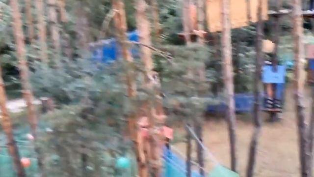 lina смотреть онлайн