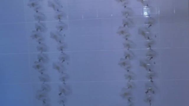 Честный ремонт Саратов смотреть онлайн