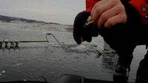 Окунь на БАЛАНСИР | Зимняя рыбалка| Ловля на балансир Лаки-Джон