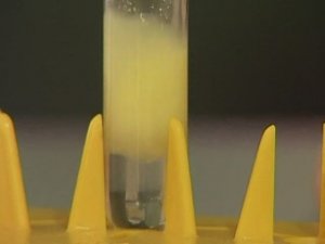 Химия. Опыты. Неорганика. Качественная реакция на фосфат-ион