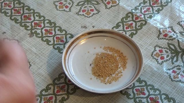 Лайфхак Как отделить воду от семян смотреть онлайн