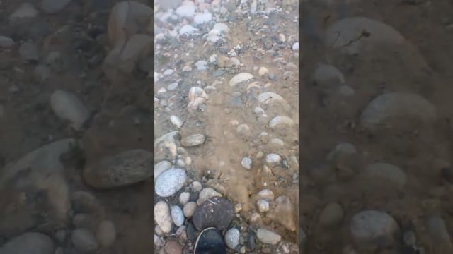 Каитов. Азамат смотреть онлайн